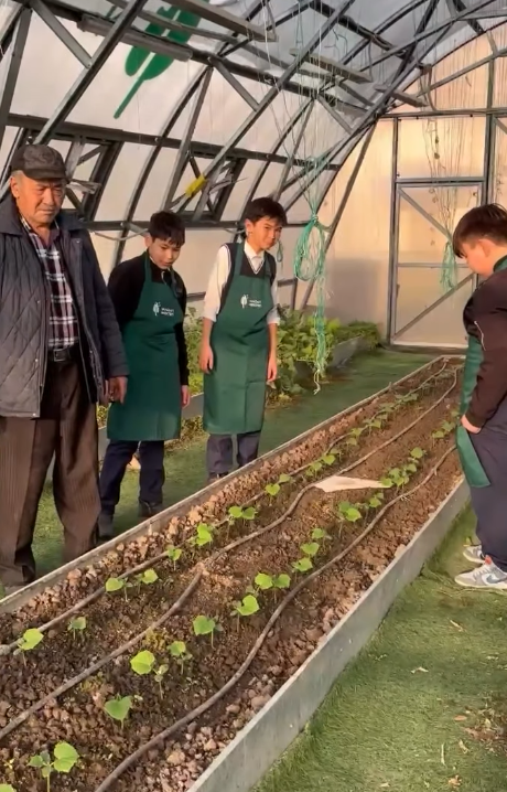 “Алматы біздің ортақ үйіміз” науқанын іске асыру жоспары аясында “Жас Ұлан” ұйымы мектеп жанындағы жылыжайға тазалық жұмыстарын жүргізіп көмектесті